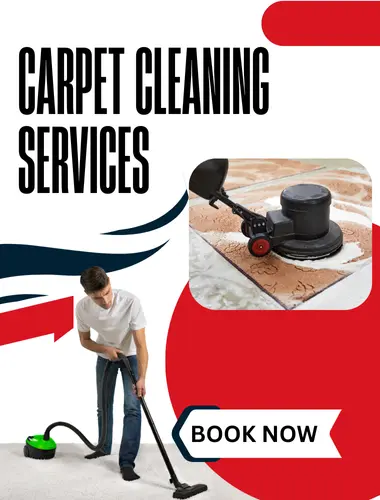 Meet the Mind Behind the Mission Best Couch Cleaning Company